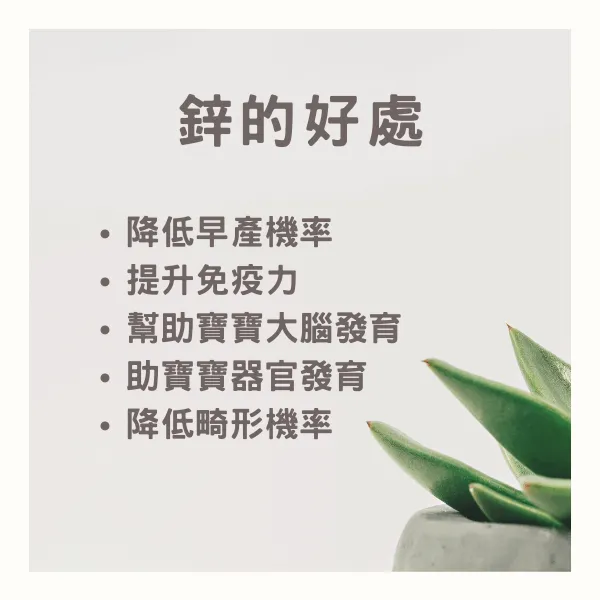 孕期補充鋅