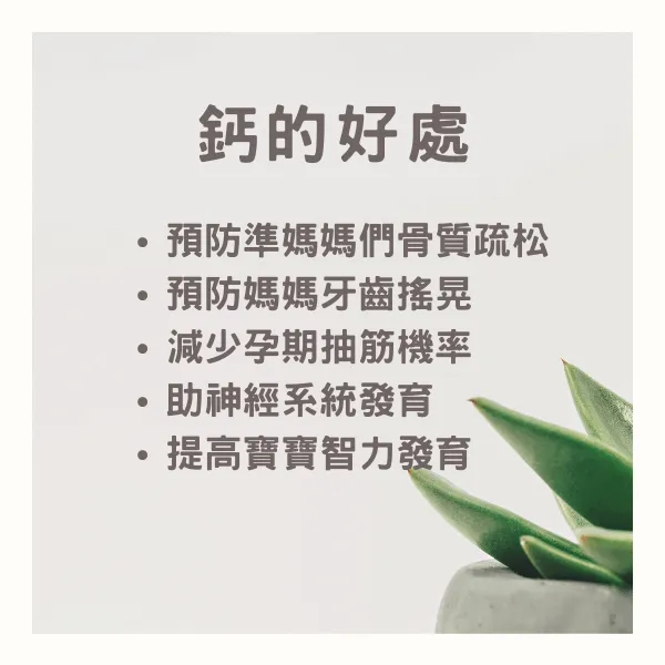孕期補充鈣