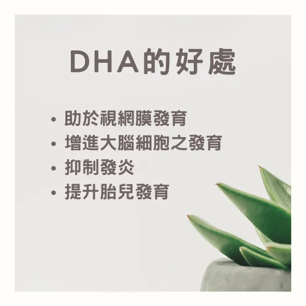 孕期補DHA