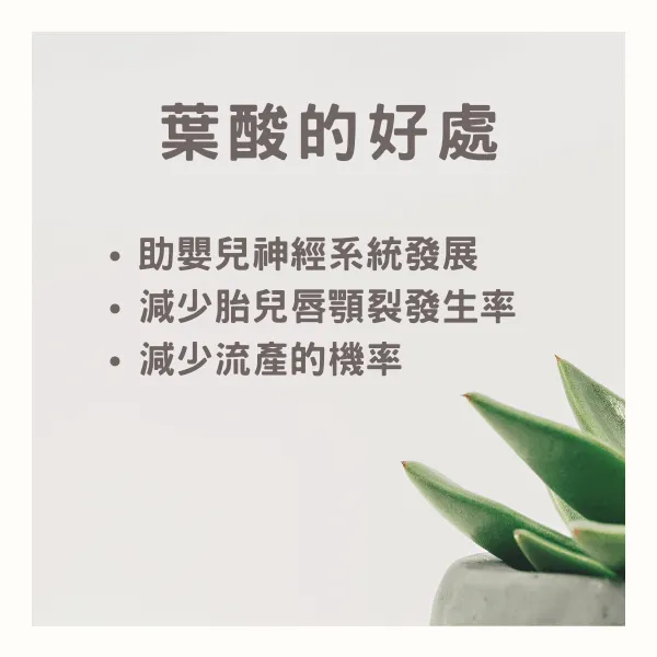 孕期補充葉酸
