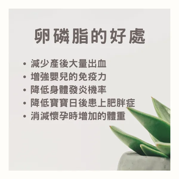 孕期補充卵磷脂