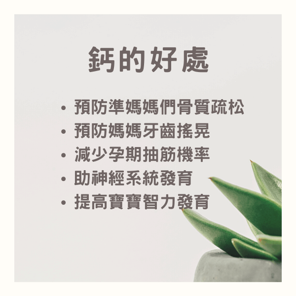 孕期補充鈣 孕期補充鈣