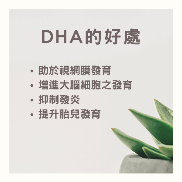 孕期補DHA 孕期補DHA