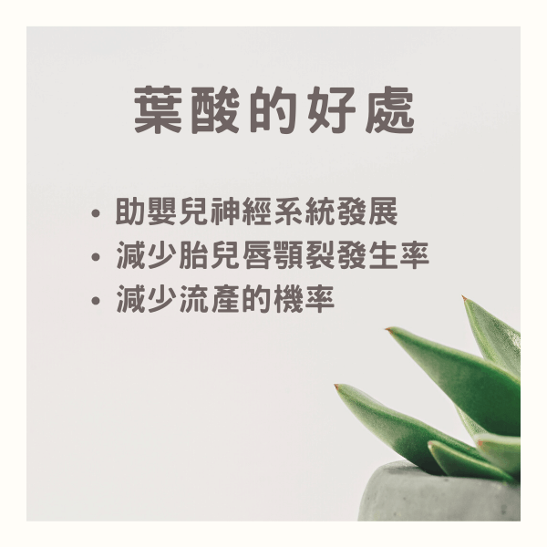 孕期補充葉酸 孕期補充葉酸
