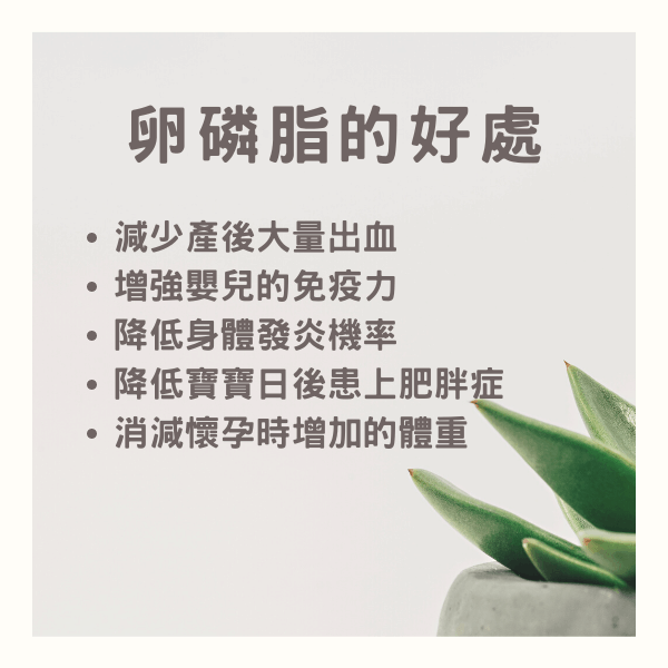 孕期補充卵磷脂 孕期補充卵磷脂